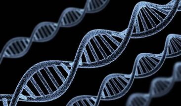 组蛋白修饰：基因表达的精细调控